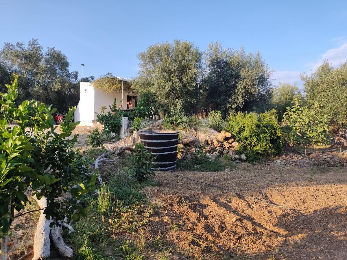 Corfu Oasis Studio Neochorakion Экстерьер фото